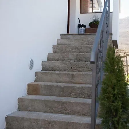 Lola Apartamento